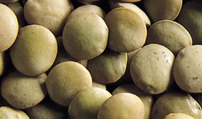US Regular Lentils