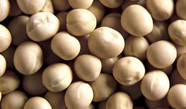 Whole Yellow Peas